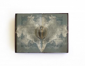 wac17790 human nature i