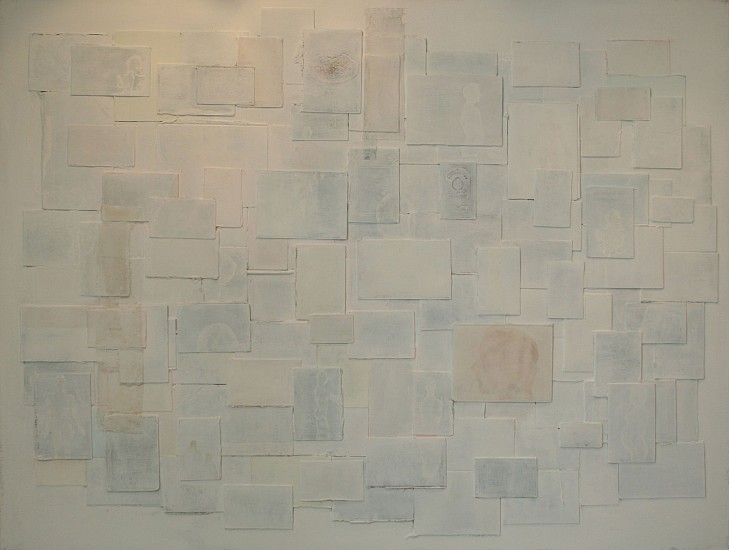 SHANY VAN DEN BERG, LIASEER KABINET
2014, MIXED MEDIA ON LINEN