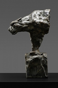 s477 stalking cheetah bust ii b