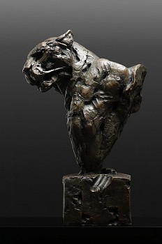 s485 leopard on boulder bust