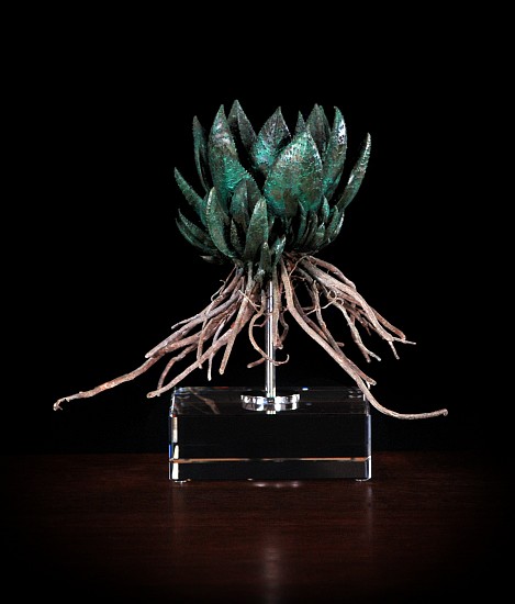NIC BLADEN, GASTERIA
2019, BRONZE AND STERLING SILVER