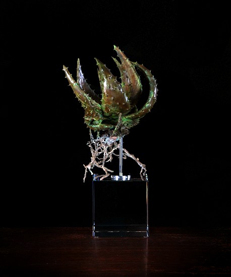 NIC BLADEN, ALOE ACCULEATA
2019, BRONZE AND STERLING SILVER