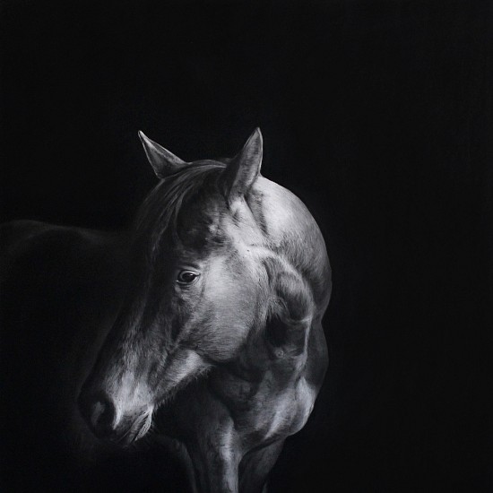 HENK SERFONTEIN, EQUUS lll
2020, CHARCOAL AND MIXED MEDIA ON HANNEMUHLE PAPER
