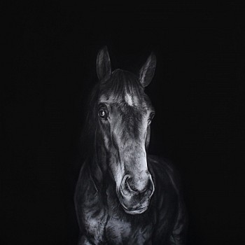 equus iv