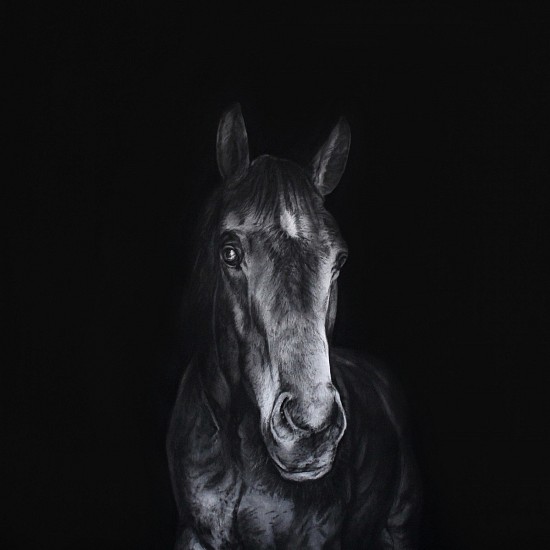 HENK SERFONTEIN, EQUUS IV
2020, CHARCOAL AND MIXED MEDIA ON HANNEMUHLE PAPER