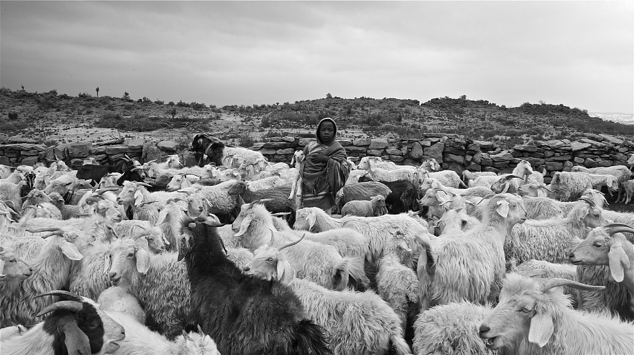 IGNATIUS MOKONE, THE GOOD SHEPHERD 5
2018, GICLEE ON 200GSM PREMIUM SATIN PAPER