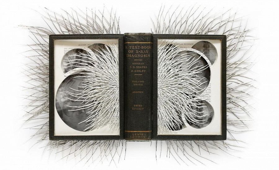 BARBARA WILDENBOER, A TEXT-BOOK OF X-RAY DIAGNOSIS
2020, ALTERED BOOK