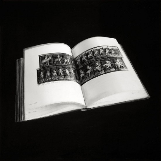 HENK SERFONTEIN, TURNING PAGES IV
CHARCOAL & MIXED MEDIA ON ARCHIVAL PAPER