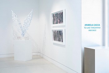 Arabella ER Franschoek