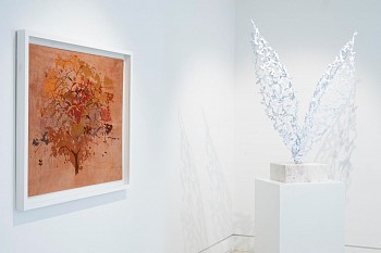 Arabella ER Franschoek