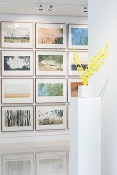 Arabella ER Franschoek