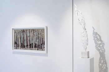 Arabella ER Franschoek