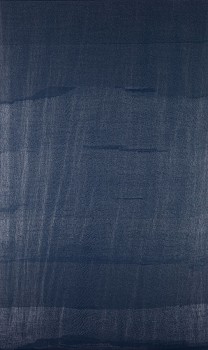 ghost net silver on blue lr