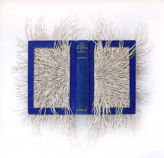 BARBARA WILDENBOER, THE SOCIAL RELATIONS OF SCIENCE
2025, HAND CUT ALTERED BOOK