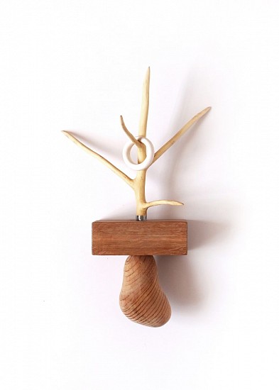 BARBARA WILDENBOER, MNEMONICS FOR TREES I
FIG, CEDAR, OAK, PORCELAIN & THREAD