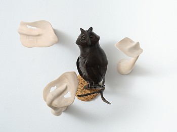 everard read 29 07 2025 lr