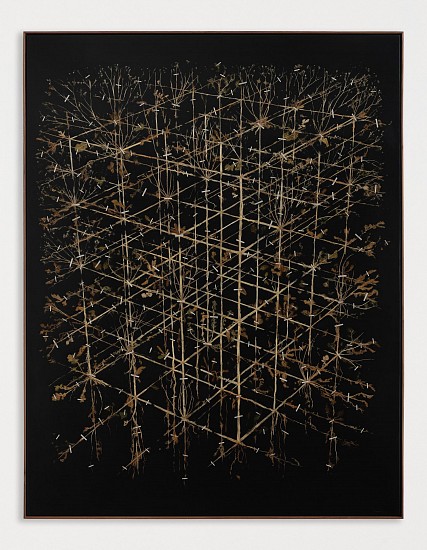 GERHARD MARX
2025, PLANT MATERIAL AND PU GROUND ON CANVAS WITH BOARD