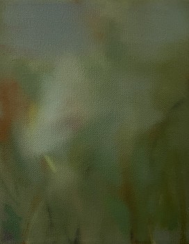 hoogervorst oudtshoorn 2025 oil on canvas 19 x 24cm