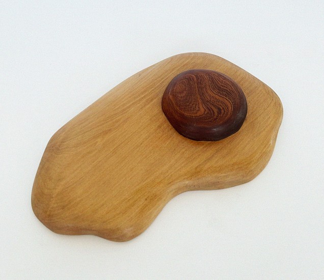 LUCA EVANS, SZZZZZZZLL /sːzəl/
YELLOWWOOD AND MAHOGANY