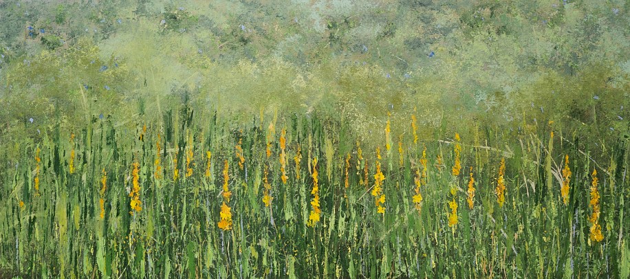 ARABELLA CACCIA, WACHENDORFIA
OIL ON BOARD