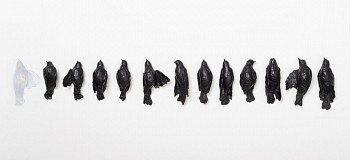 ghost bird constellation of silence i